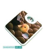 ترازو عقربه ای شقایق