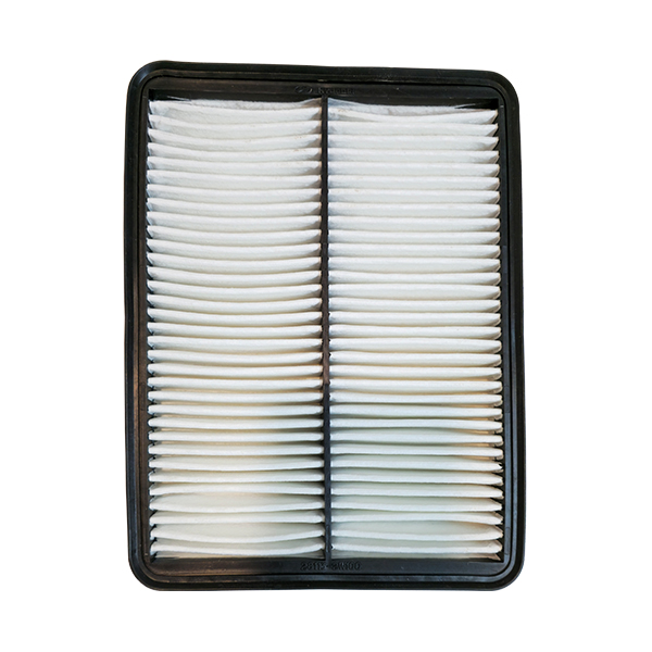 فیلتر کابین هیوندای 2W100 فیلتر هوای هیوندای/ Hyundai 2w100